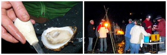 Oyster picnic 2010.jpg